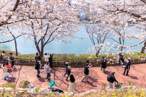 掌上世界 韩国单人户数量首次突破800万