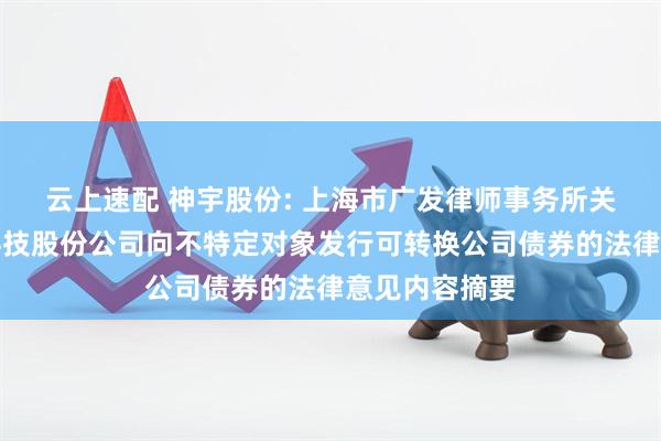 云上速配 神宇股份: 上海市广发律师事务所关于神宇通信科技股份公司向不特定对象发行可转换公司债券的法律意见内容摘要