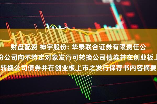 财盘配资 神宇股份: 华泰联合证券有限责任公司关于神宇通信科技股份公司向不特定对象发行可转换公司债券并在创业板上市之发行保荐书内容摘要
