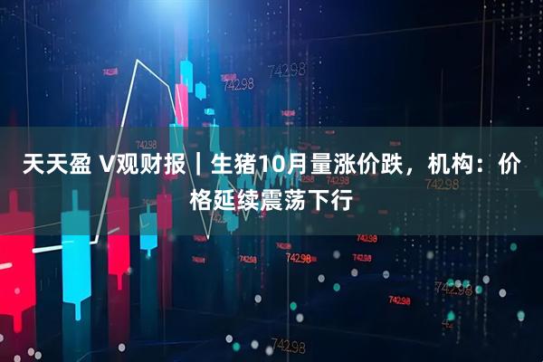天天盈 V观财报｜生猪10月量涨价跌，机构：价格延续震荡下行