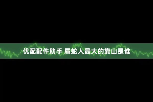 优配配件助手 属蛇人最大的靠山是谁