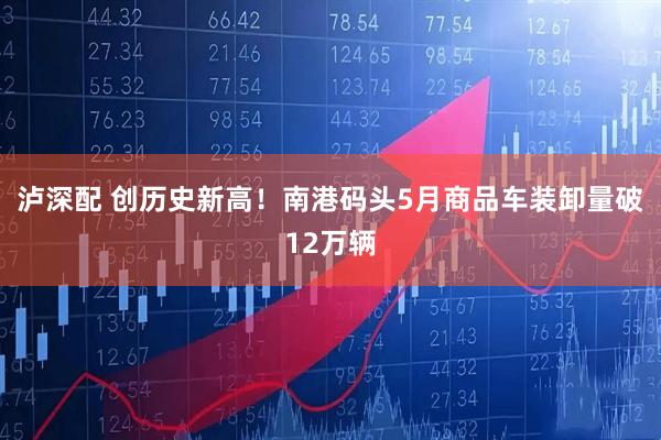 泸深配 创历史新高！南港码头5月商品车装卸量破12万辆