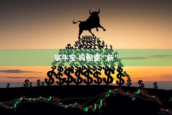 掌牛宝 钨钼逢“新”