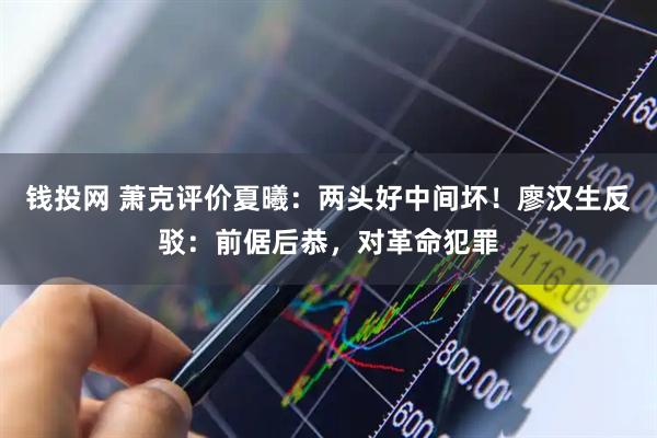 钱投网 萧克评价夏曦：两头好中间坏！廖汉生反驳：前倨后恭，对革命犯罪
